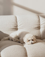 Bolbi 2-Seater Sofa