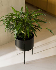 Maki Plant Pot - tall