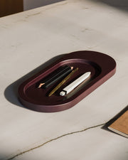 Tenu Tray