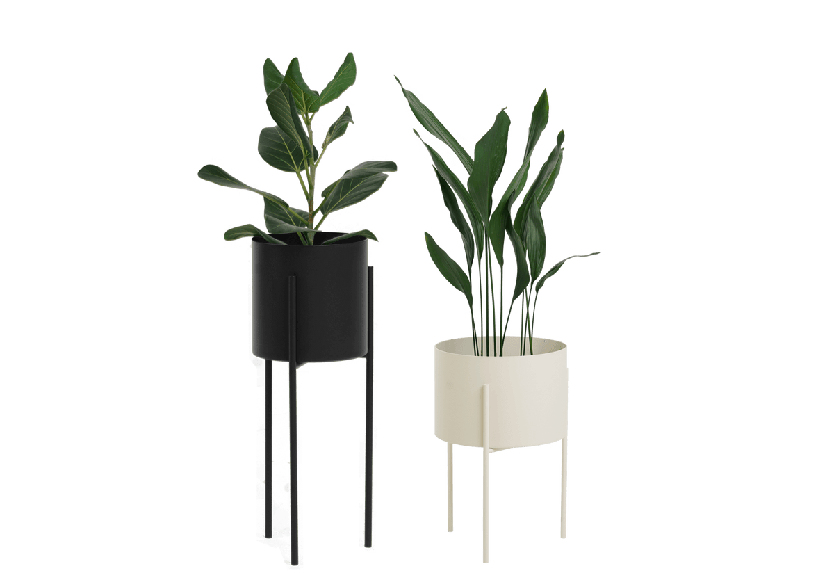 2x Maki Plant Pot - Wide & Tall Bundle